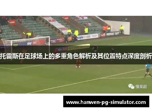 托雷斯在足球场上的多重角色解析及其位置特点深度剖析