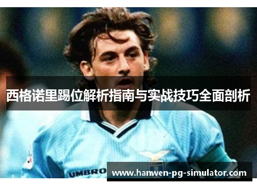 西格诺里踢位解析指南与实战技巧全面剖析