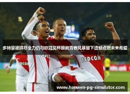 多特蒙德拼尽全力仍与欧冠奖杯擦肩青春风暴留下遗憾点燃未来希望