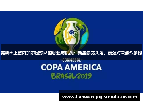 美洲杯上塞内加尔足球队的崛起与挑战：新星崭露头角，豪强对决激烈争锋